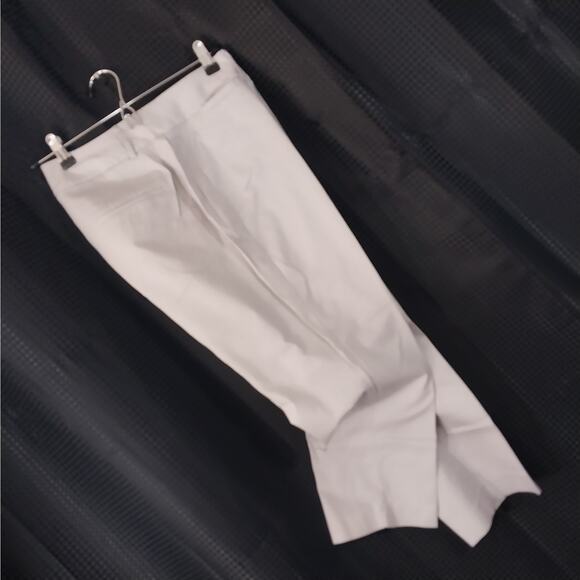 ANN TAYLOR FACTORY! PALEST GRAY CROPPED, RELAXED NOTCHED ANKLE PANTS! SZ 10P - Picture 10 of 10